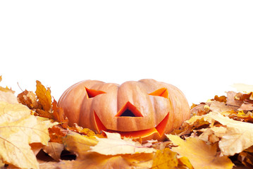 Halloween pumpkin on autumn leaves isolated on white background