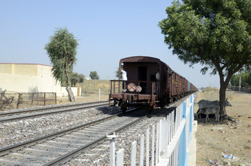 Fototapeta na wymiar Train rajasthani