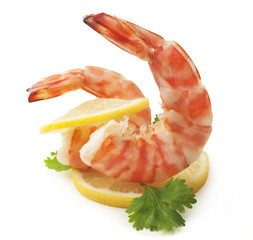 Closeup view of shrimp isolated on the white background