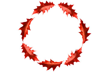 Circle frame from bordeaux leaves
