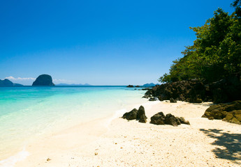 Divine Blue Paradise Wallpaper