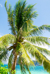 Obraz premium Green Getaway Relaxation In Peace