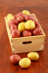 Red and yellow new potatoes