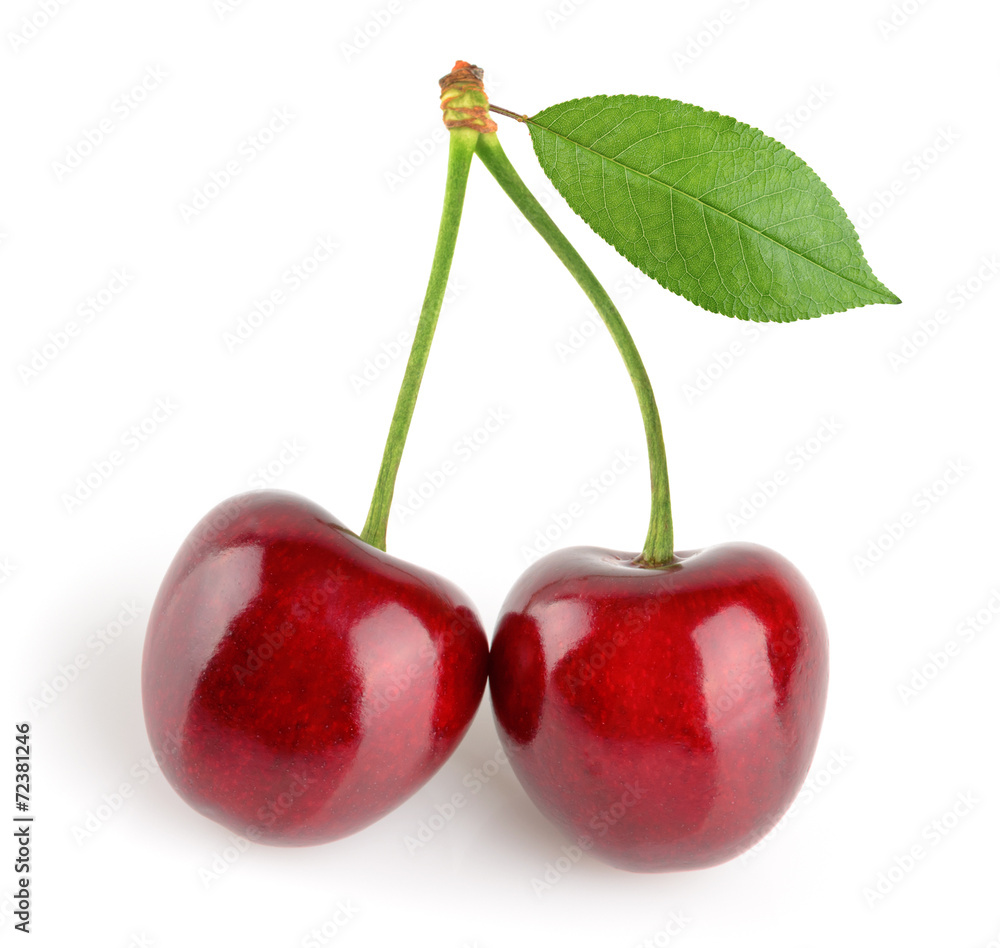 Wall mural cherries isolated