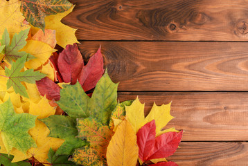 Obraz premium Autumn leaves over wooden background with copy space