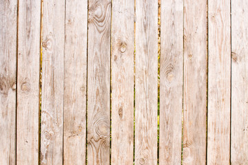 Aged wood wall texture. 