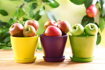 Juicy apples in pots, close-up