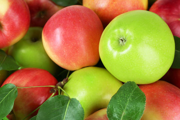 Ripe apples close up