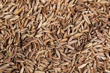 Cumin close up
