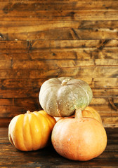 Ripe different pumpkins on wooden background