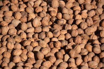 frutos de oto&ntilde;o