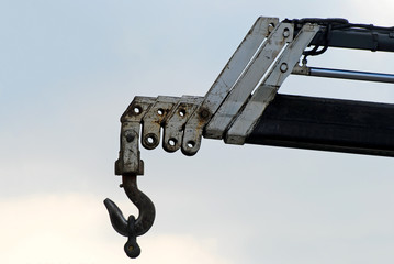 Crane hook