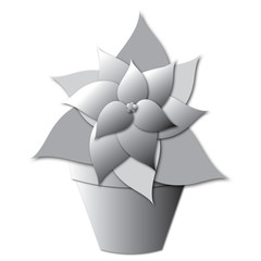 Potted Poinsettia in white