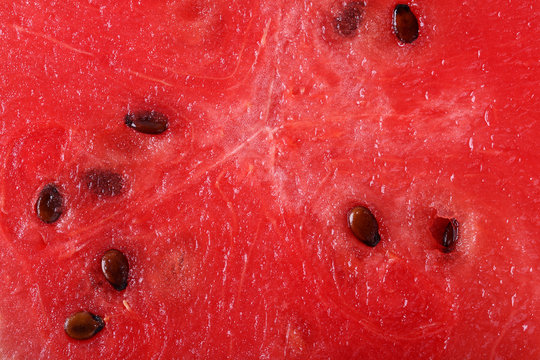 fresh watermelon for backgrounds