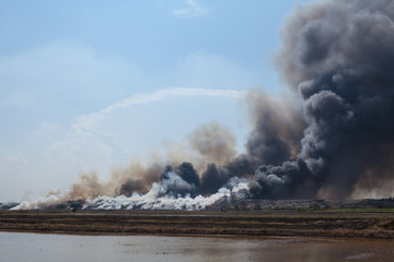 Burning garbage heap of smoke