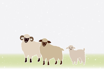 greeting card of the sheep