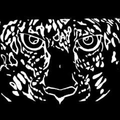 Fototapeta premium Tiger Face Vector
