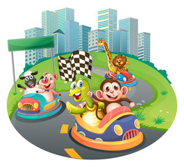 Animals and racing cars