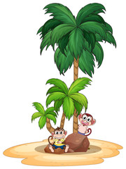Obraz premium Monkeys and beach