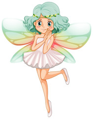Fairy