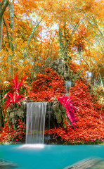 Wonderful Waterfall and red leaf in Deep forest at National Park
