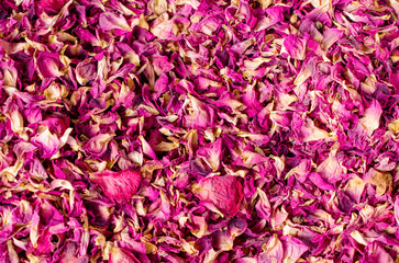 Dried rose petal for background