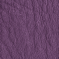 violet leather texture closeup