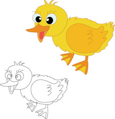 Cartoon baby ducks. Isolated objects for design element