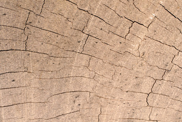 wooden planks texture with cracked color paint for background