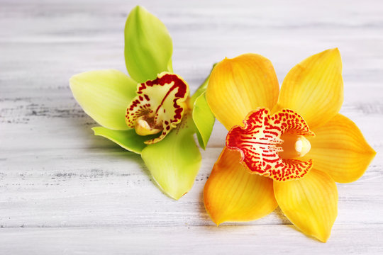 Fototapeta Yellow tropical orchid flowers on color wooden background