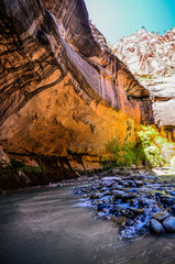 The Narrow, Zion National Park