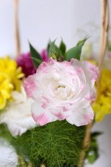 Flowers in basket on white background