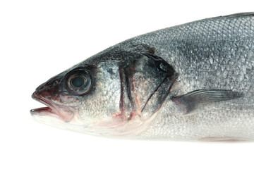 Fresh fish isolated on white