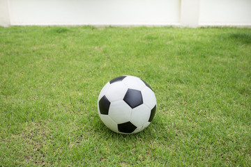 Obraz premium soccer ball on green grass