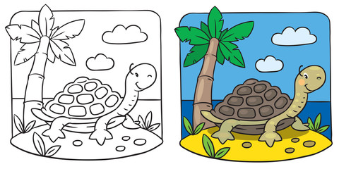 Fototapeta premium Little turtle coloring book