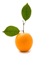 orange