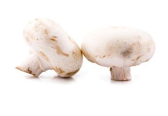 mushrooms