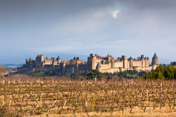 Fototapeta na wymiar View of Carcassonne castle in Languedoc-Rosellon (France)