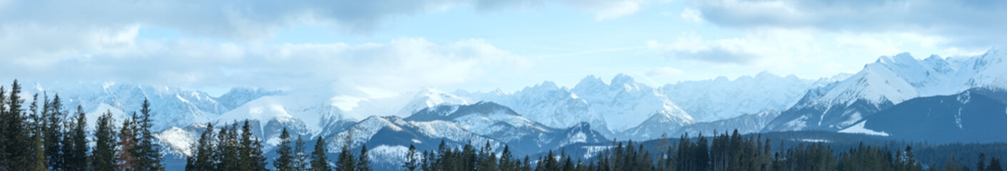 Fototapeta na wymiar Winter mountain panorama (Slovakia, High Tatras).