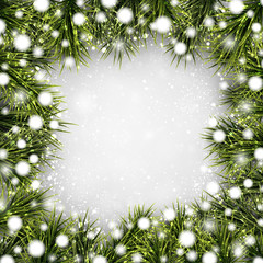 Christmas background with spruce branches.