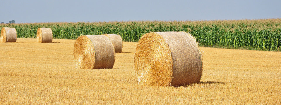 strohballen am feld