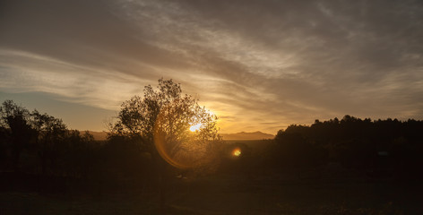 Fototapeta premium Beautiful morning landscape