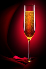 luxury glass of champagne