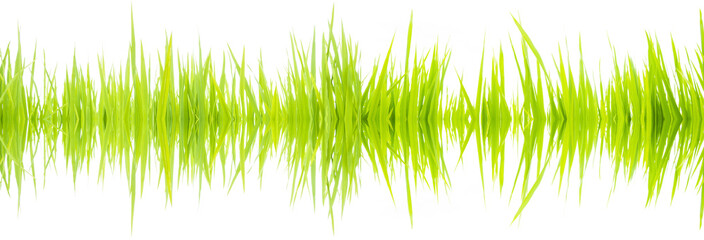 Green grass, Sound waves
