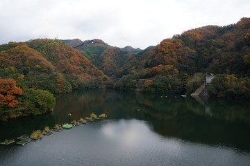 Fototapeta premium 紅葉の山