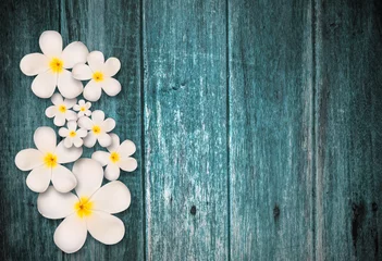 Keuken spatwand met foto White plumeria flower on wood background © pkproject