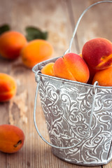 Fresh apricots in little vintage bucket. Selective focus.