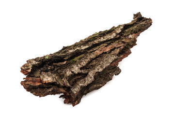 Fototapeta premium Tree rind.