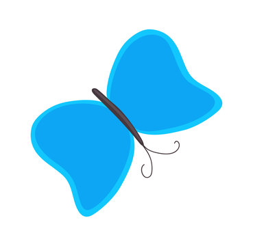 Butterfly Design Shape