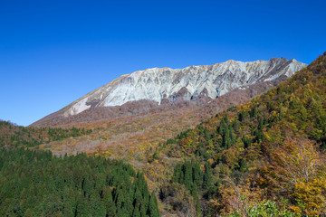 秋の大山